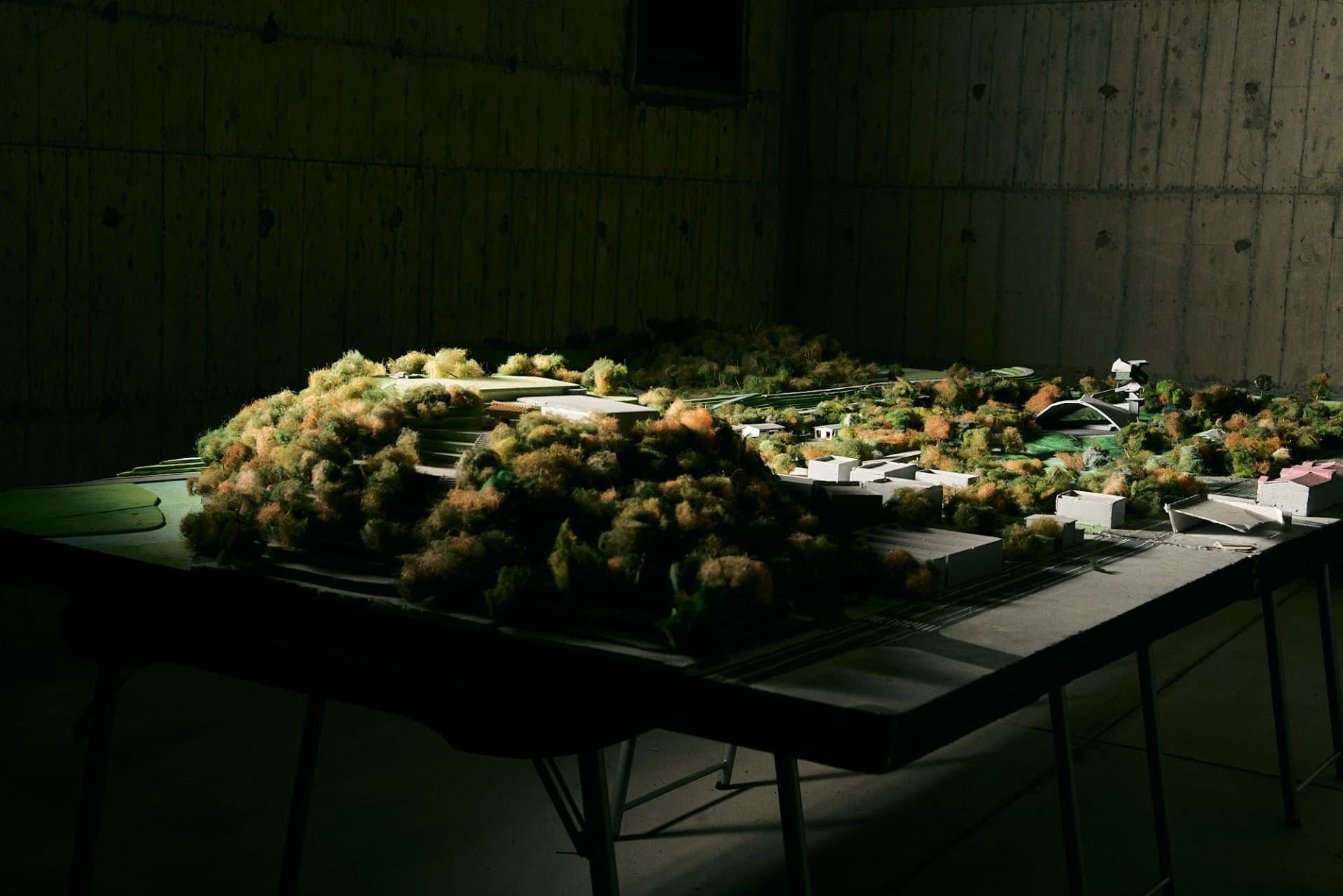 員山こどもの公園