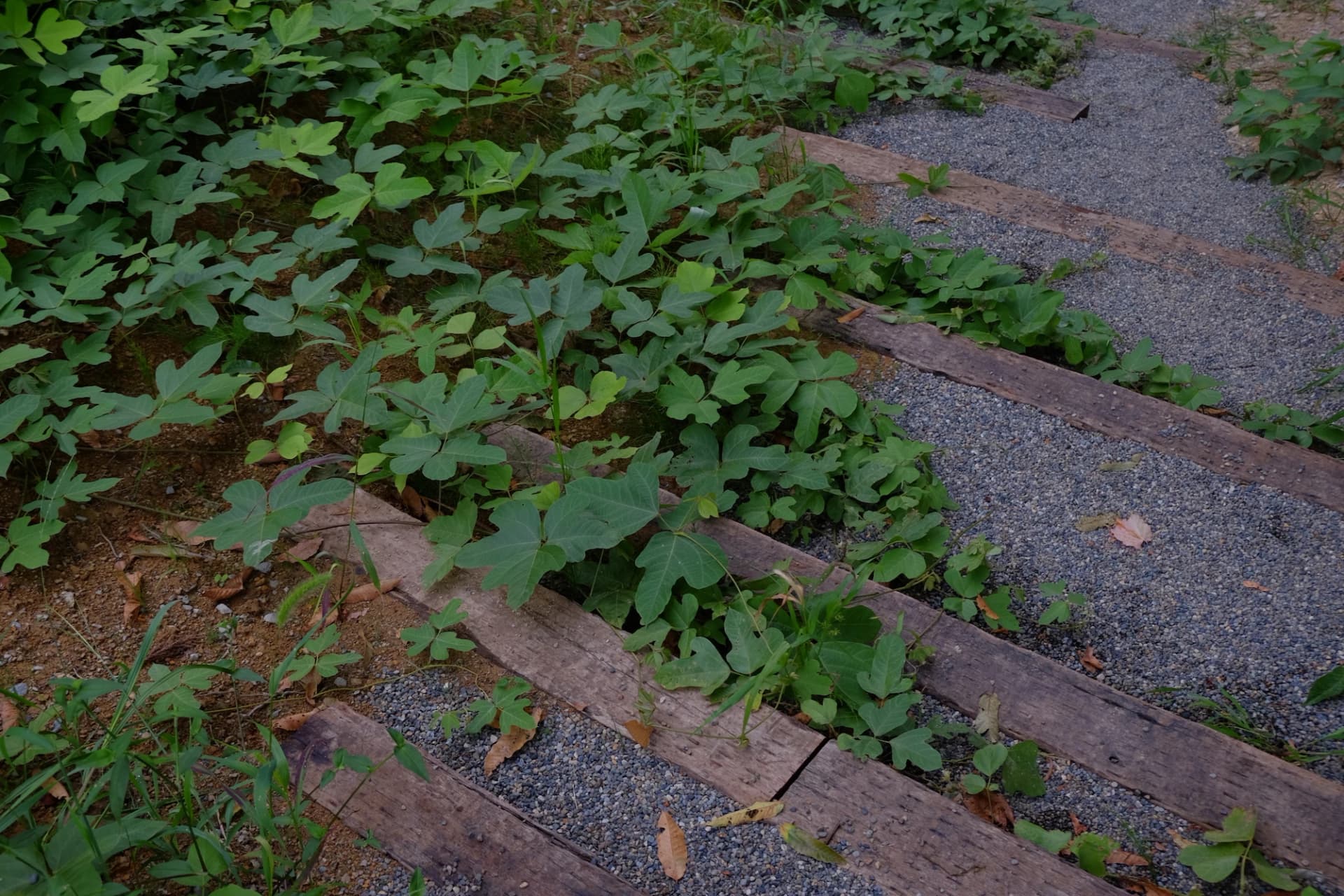 大地に抱かれる椅子