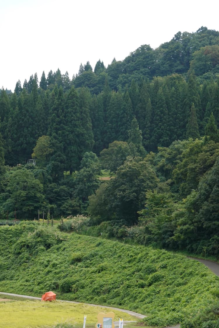 大地に抱かれる椅子
